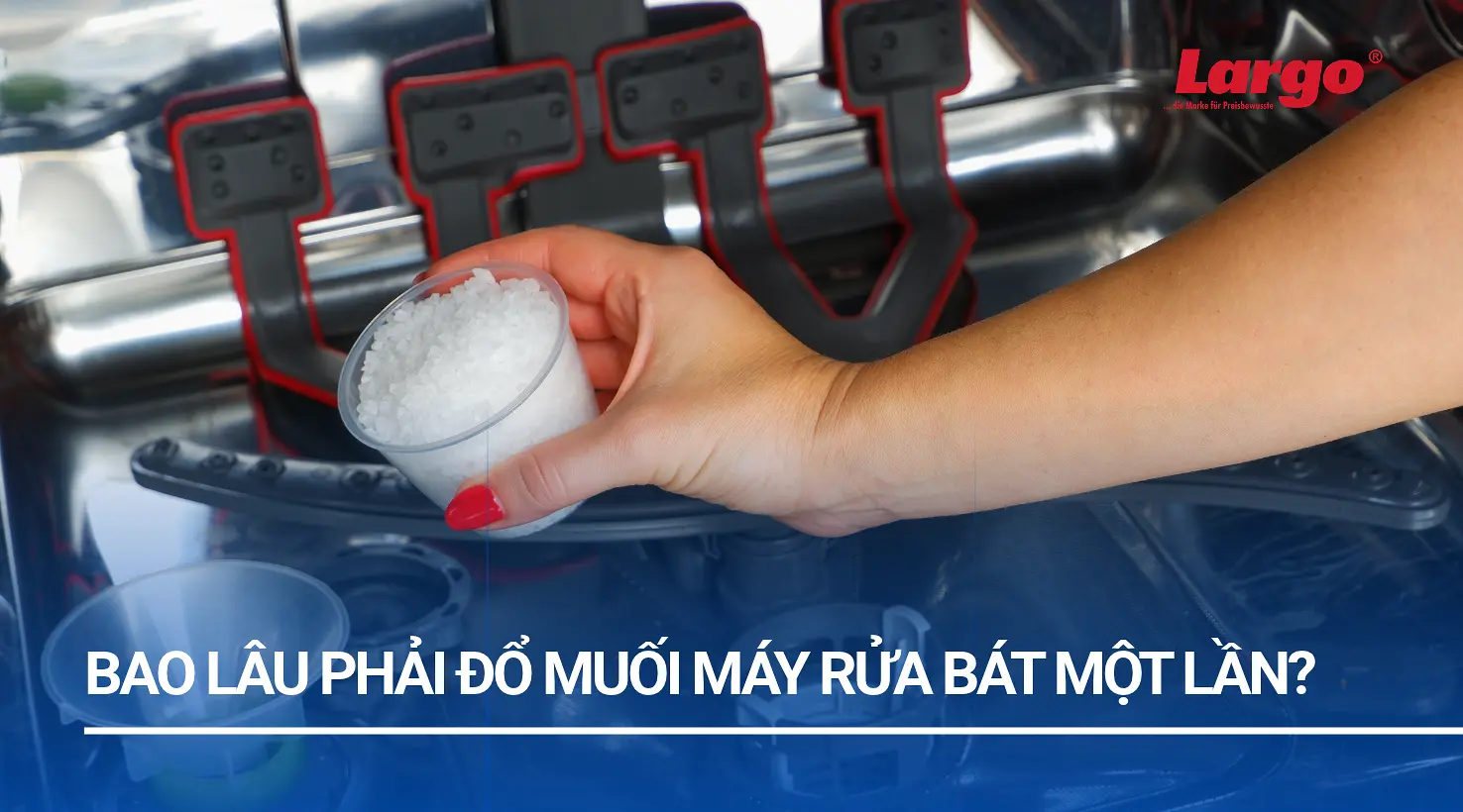 Bao lâu thì đổ muối rửa bát