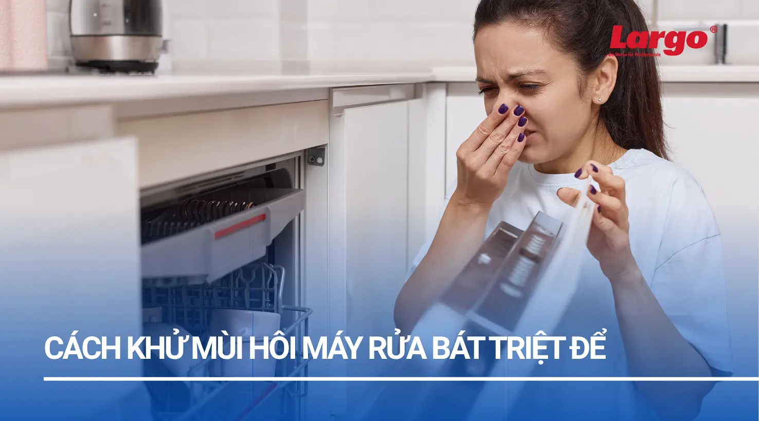 cách khử mùi hôi máy rửa bát