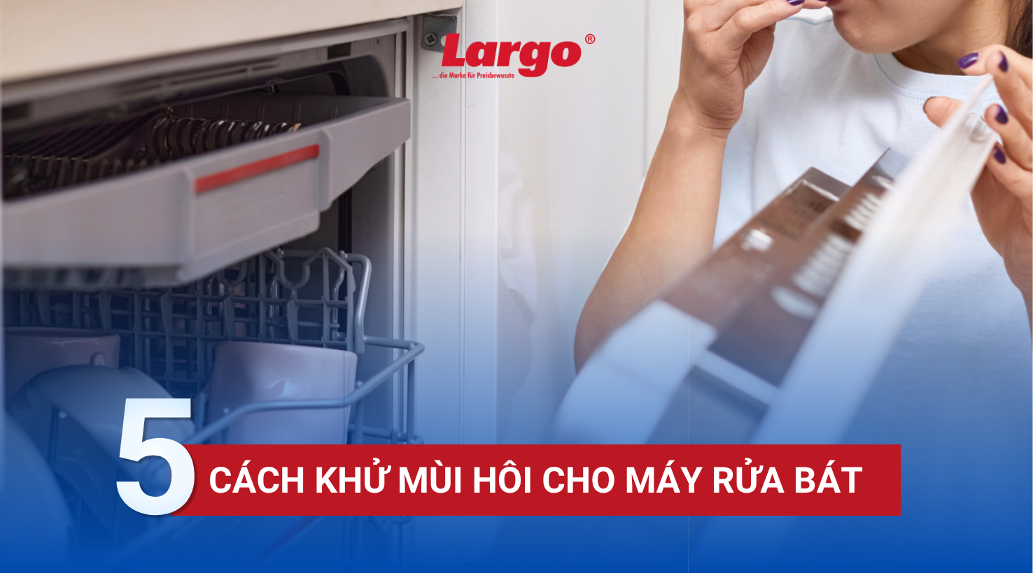 Cách khử mùi cho máy rửa bát